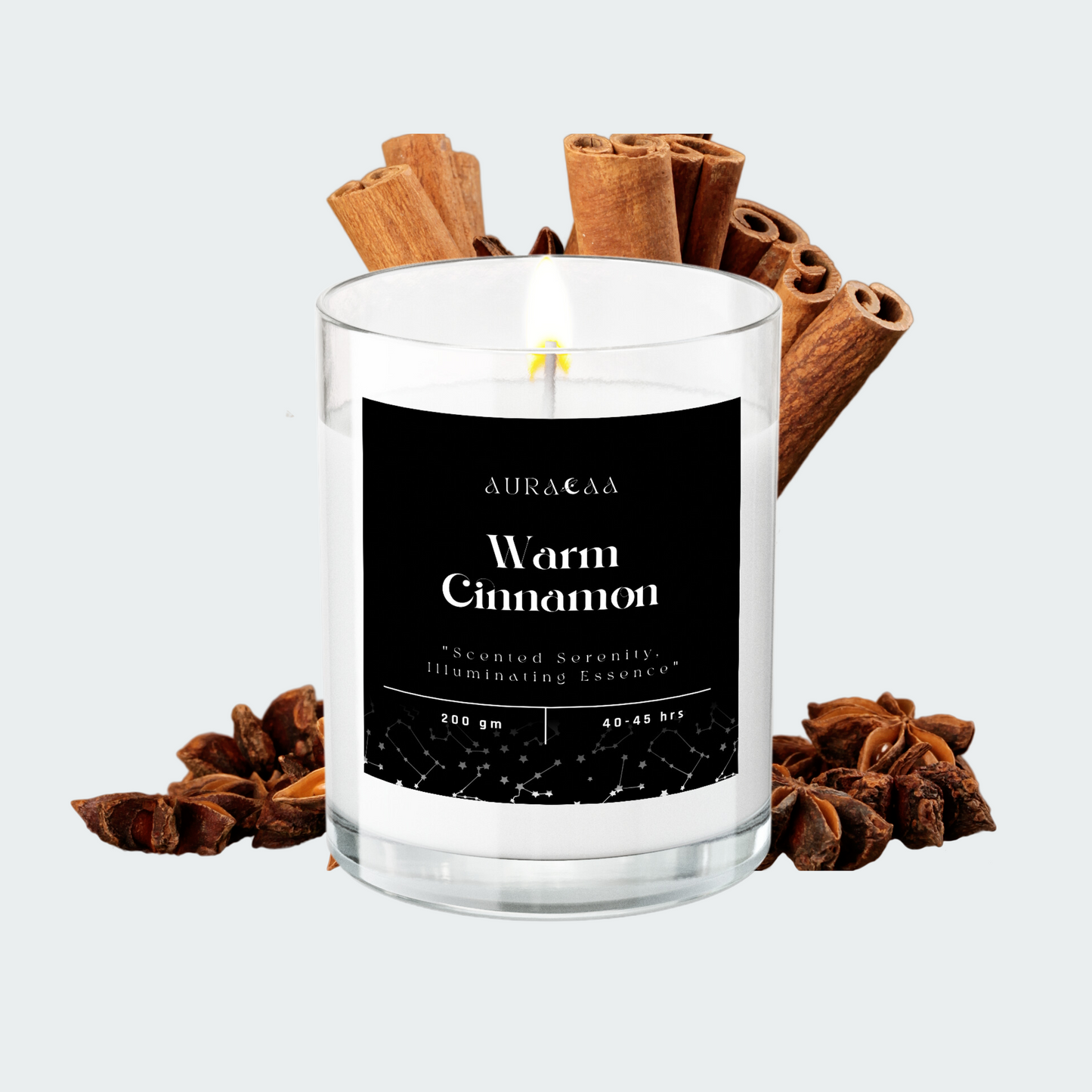 Warm Cinnamon Signature Series Scented Jar Candle