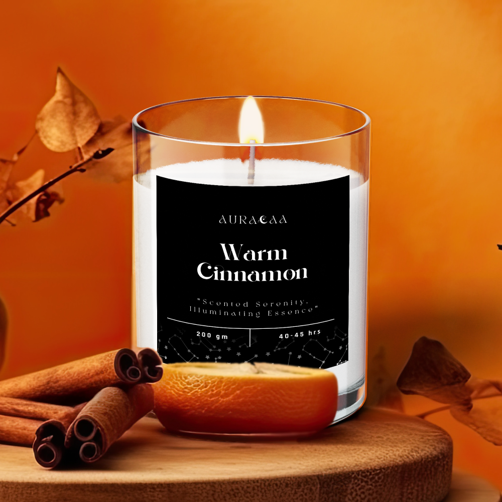 Warm Cinnamon Signature Series Scented Jar Candle