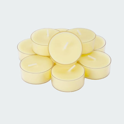 Ivory Mystic Flicker Tealights