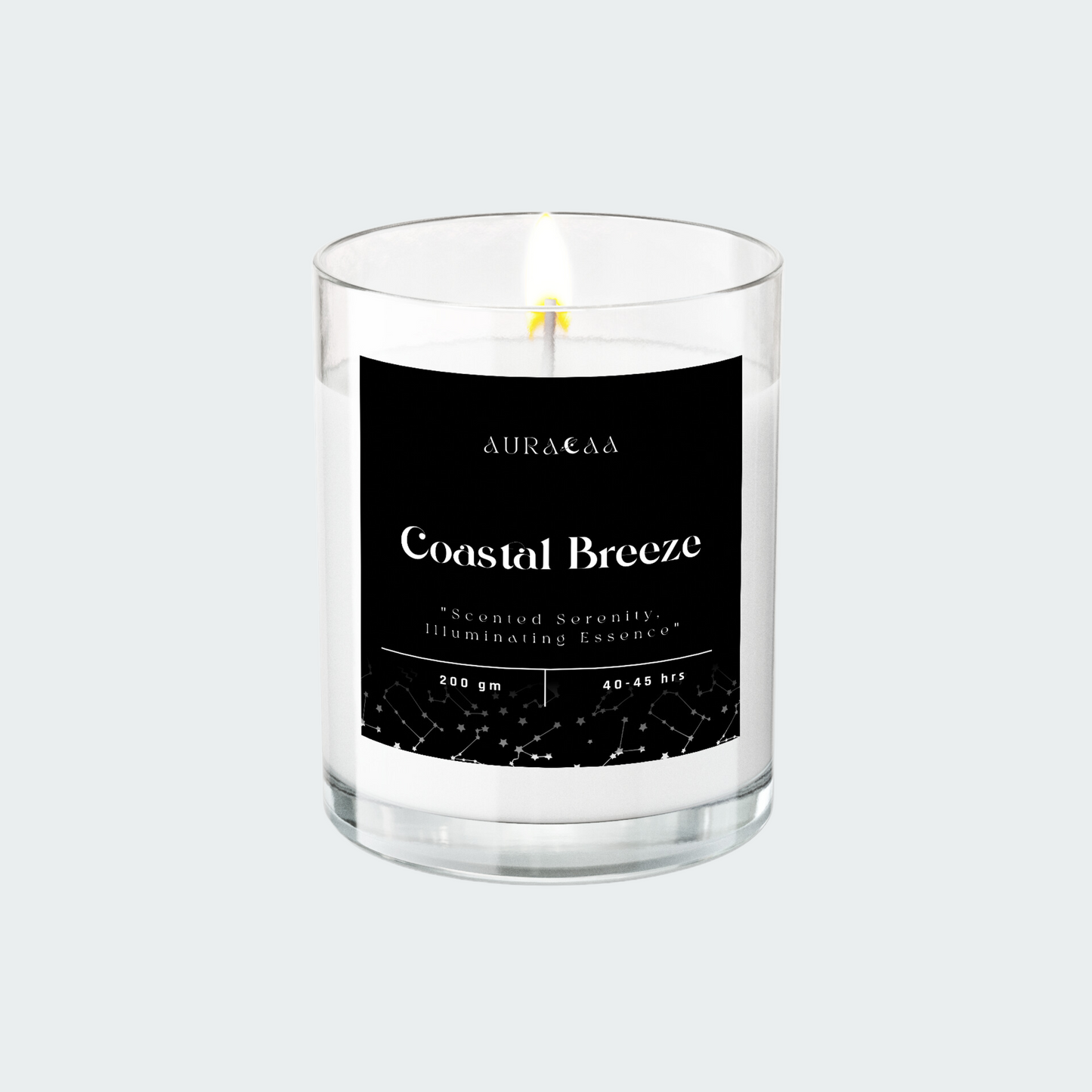 Coastal Breeze Signature Series Scented Jar Candle