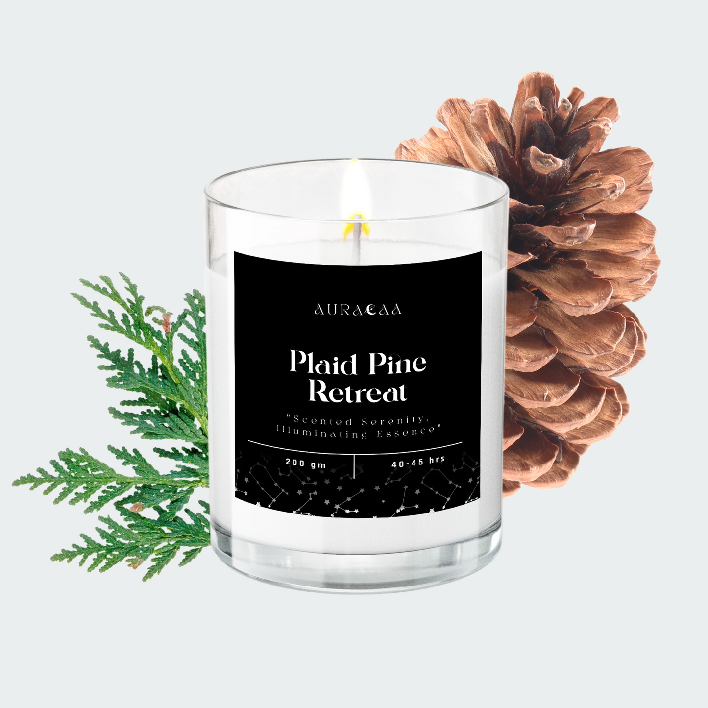 Plaid Pine Retreat Signature Series Scented Jar Candle