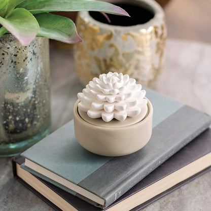 Succulent Porcelain Passive Candle Diffuser