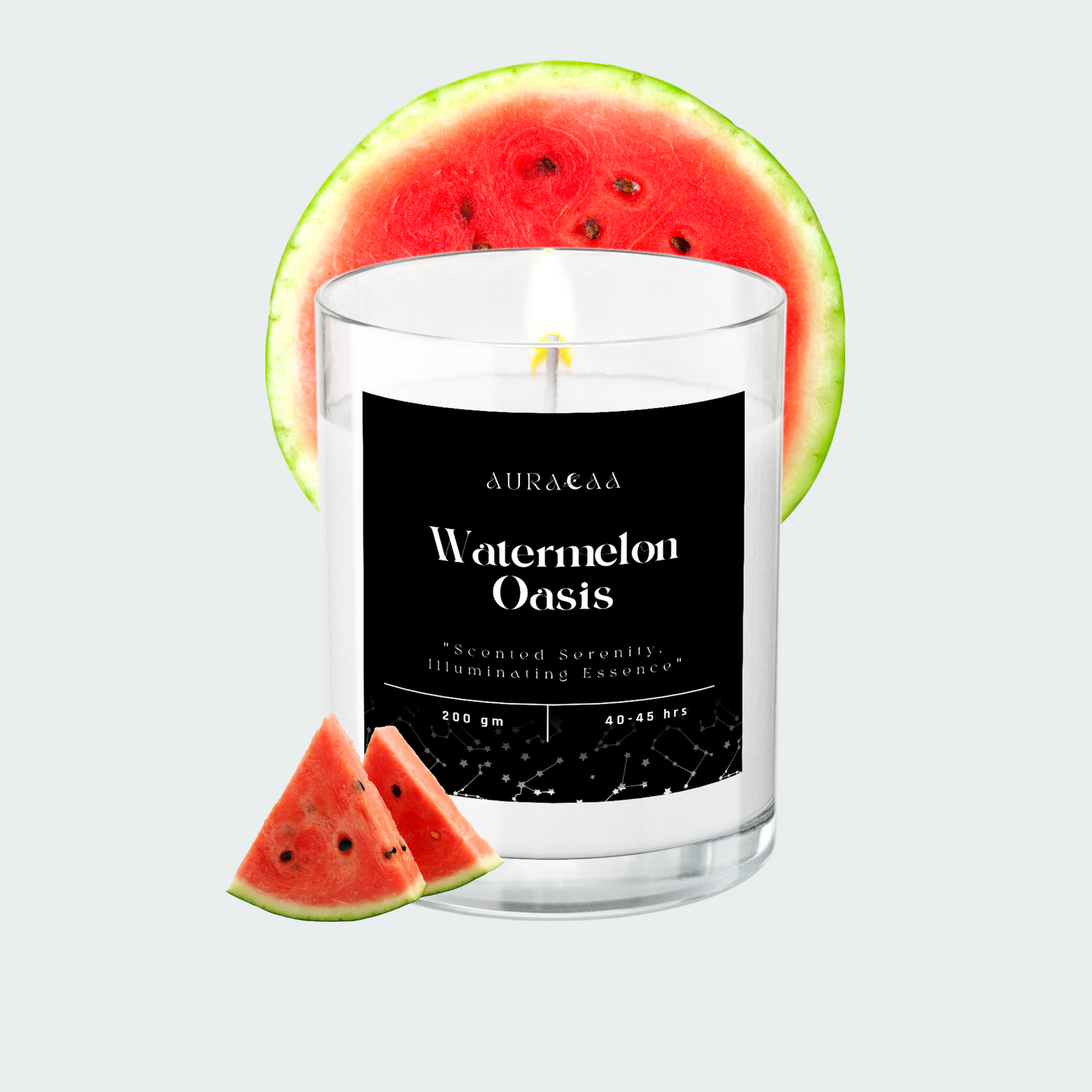 Watermelon Oasis Signature Series Scented Jar Candle